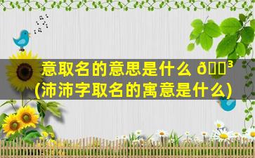 意取名的意思是什么 🐳 (沛沛字取名的寓意是什么)